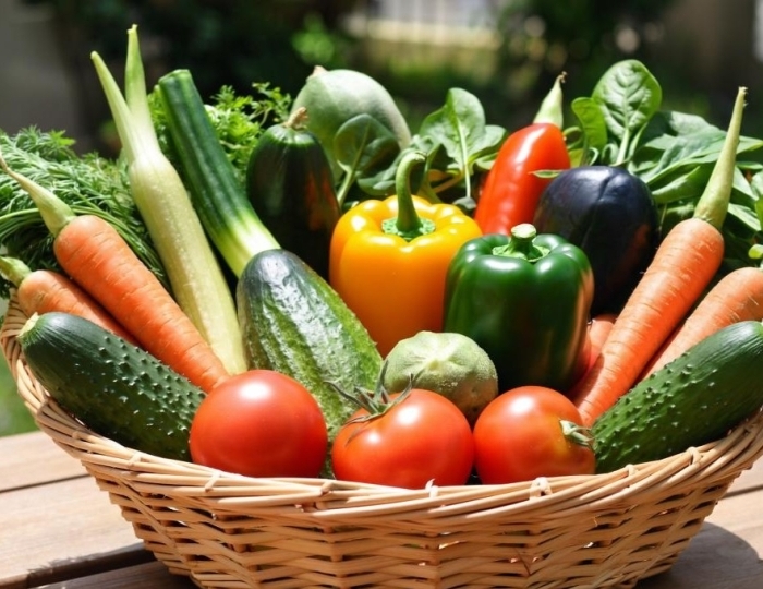 Детокс - Санаторий «Жемчужина моря» Кабардинка