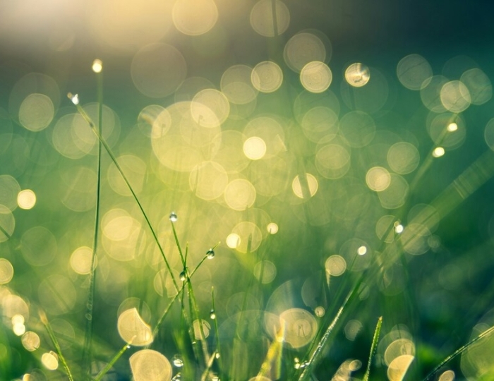 Свободное дыхание - Санаторий «Жемчужина моря» Кабардинка